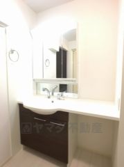 縦型洗面化粧台